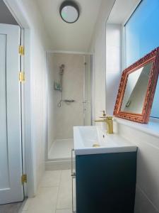 a bathroom with a sink and a shower and a mirror at CROKE PARK STUDIO in Dublin