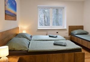 - une chambre avec 2 lits et une fenêtre dans l'établissement Amálkin Dvor, à Podbrezová