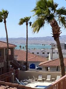 - une vue sur un complexe avec des palmiers dans l'établissement Pasado Del Rio, Downtown getaway, à Lake Havasu City