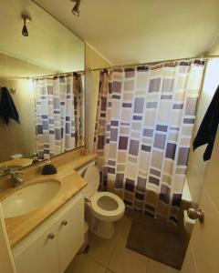ein Bad mit einem Waschbecken, einem WC und einer Dusche in der Unterkunft Apartamento en Iquique in Iquique