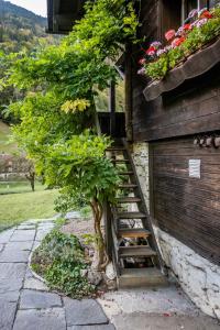 Zahrada ubytování Chalet Elza