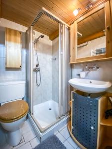 ein Bad mit einer Dusche, einem WC und einem Waschbecken in der Unterkunft Chalet Elza in Lauterbrunnen