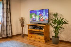 TV a/nebo společenská místnost v ubytování Chalet Elza