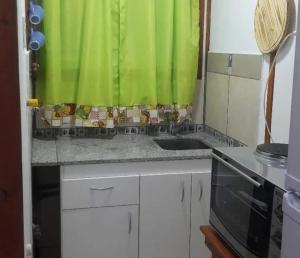 eine Küche mit einem Waschbecken und einem grünen Vorhang in der Unterkunft Cabaña 2 in Cordoba