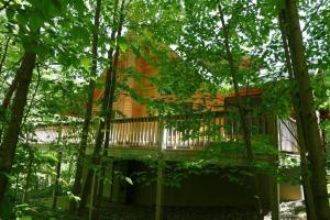 a tree house in the middle of the forest at Mountain Maryland! Bear in the Woods in Grantsville