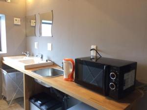a microwave sitting on a counter next to a sink at ＳＡＮＡ ＩＮＮ ＴＯＷＮ - Vacation STAY 93125v in Wakayama