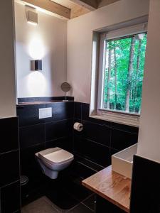 a bathroom with a toilet and a window and a sink at Regenbogen Bad Gandersheim in Bad Gandersheim