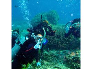 a group of people diving in the ocean at Hotel Hamahigashima Resort - Vacation STAY 10570v in Uruma +45 photos