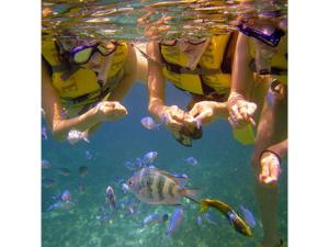 two people in bathing suits looking at a fish in the water at Hotel Hamahigashima Resort - Vacation STAY 10570v in Uruma