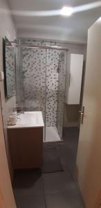 a bathroom with a shower and a white sink at Pedreira apartment in Calheta