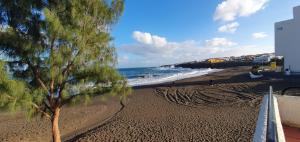 una playa con un árbol y el océano en Arena Negra, en Telde