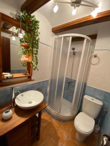 a bathroom with a shower with a toilet and a sink at Apartamentos Ines in Valdelinares