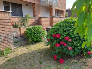 a bush with red flowers in front of a building at Milano Linate Airport Apartment in Peschiera Borromeo