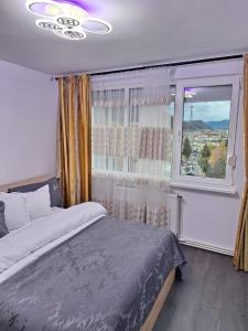 ピアトラ・ネアムツにあるPanoramic Central Apartmentのベッドと窓のある寝室