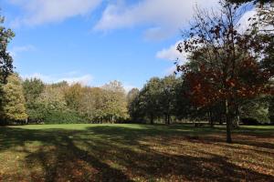 un champ herbeux avec des arbres en arrière-plan dans l'établissement Demeures de Campagne Parc du Coudray - Barbizon, à Le Coudray-Montceaux