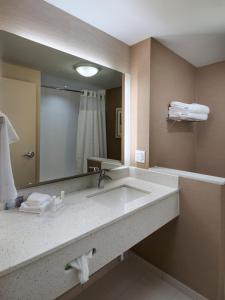 a bathroom with a sink and a large mirror at Fairfield Inn & Suites by Marriott Dublin in Dublin