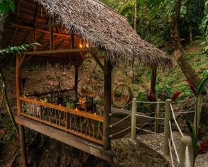 une petite cabane avec un bar dans une forêt dans l'établissement Valley Stream Private Eden, à Good Living Camp
