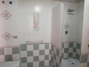 a bathroom with a shower with a checkered floor at Blu Mare Lampedusa Bed And Breakfast in Lampedusa