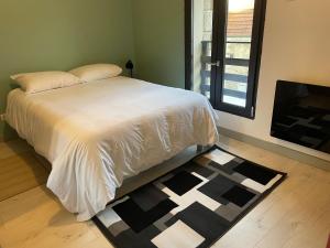 ein Schlafzimmer mit einem Bett, einem Kamin und einem Teppich in der Unterkunft Logementprivatif en famille à Disney in Montry