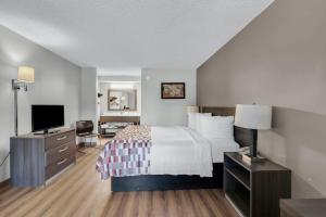 une chambre d'hôtel avec un lit et une télévision dans l'établissement Red Roof Inn MacClenny, à Macclenny