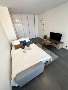 - une chambre avec un grand lit et une télévision dans l'établissement IMEPA Appart 47m2/ Beau 2 pièces, à Rouen