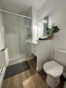 La salle de bains blanche est pourvue d'une douche et de toilettes. dans l'établissement IMEPA Appart 47m2/ Beau 2 pièces, à Rouen