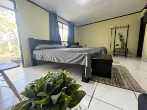 Voodi või voodid majutusasutuse Hotel Azul Coral toas