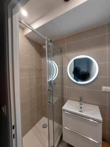 a bathroom with a shower and a sink and a mirror at Apt Lyon Flachet in Villeurbanne