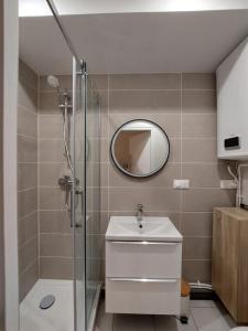 a bathroom with a shower and a sink and a mirror at Apt Lyon Flachet in Villeurbanne