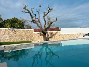 uma piscina com uma árvore em frente a uma parede em Casa Tia Maria em Moledo