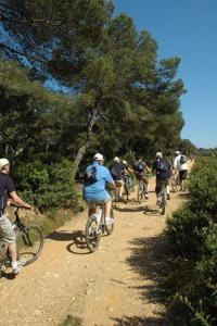a group of people riding bikes on a dirt trail at Appartement climatisé 50m2 centre du village in Porquerolles