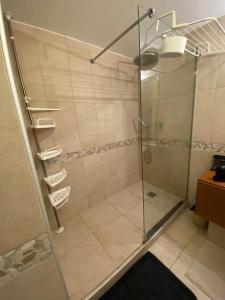 a shower with a glass door in a bathroom at Appartement climatisé 50m2 centre du village in Porquerolles