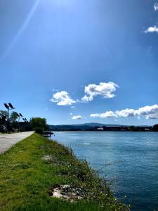 a path next to a body of water at Valdivia Base Camp-Estudio Privado in Valdivia