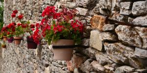 a stone wall with pots of red flowers on it at Casa Baran in Sarria