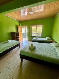 a bedroom with three beds in a room with green walls at Hotel Ticozuma in Montezuma