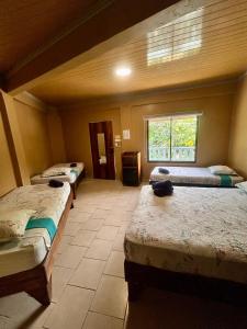 Zimmer mit 3 Betten und einem Fenster in der Unterkunft Hotel Ticozuma in Montezuma