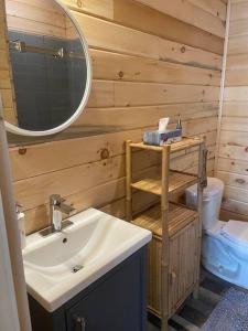 ein Badezimmer mit einem Waschbecken, einem Spiegel und einem WC in der Unterkunft Sonny’s in Keene
