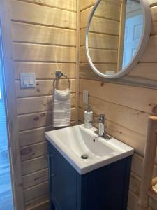 een badkamer met een wastafel en een spiegel bij Sonny’s in Keene