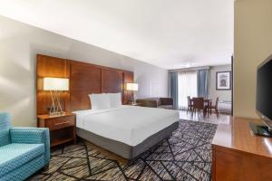 um quarto de hotel com uma cama e uma televisão em Best Western near Lackland AFB Sea World em San Antonio