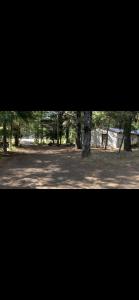 vistas a un parque con árboles en el fondo en Cabañas Lomas del llaima, en Melipeuco