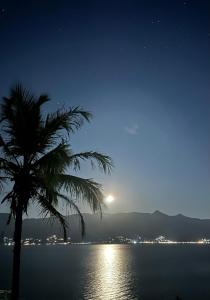 uma palmeira sentada ao lado da água à noite em LaVille - Suítes em São Sebastião
