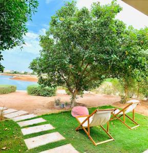 two chairs and a table in the grass near a tree at El Gouna Seaduction Breeze ! in Hurghada