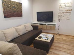sala de estar con sofá y TV de pantalla plana en Szófia Wellness Apartman, en Nagykanizsa