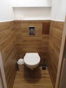 Baño pequeño con aseo y paredes de madera en Szófia Wellness Apartman, en Nagykanizsa