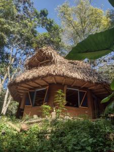 a hut with a thatched roof in the jungle at La malokita in San Agustín