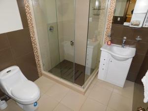 a bathroom with a shower and a toilet and a sink at HOTEL en el CENTRO HISTORICO in Cuenca