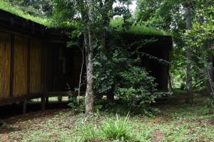 Cabaña de madera con un árbol y un banco en Yerbas del Paraiso in 