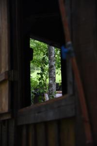 uma vista para uma árvore através de uma janela em Yerbas del Paraiso em El Soberbio