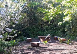 ogród z ławką oraz kwiatami i drzewami w obiekcie Refugio Pachalquimia w mieście Bariloche