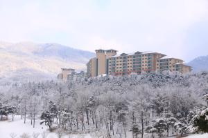 Oak Valley Resort في ونجو: منتجع بالثلج اشجار ومباني